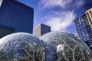 Amazon kupio proizvođača pametnog zvona Ring