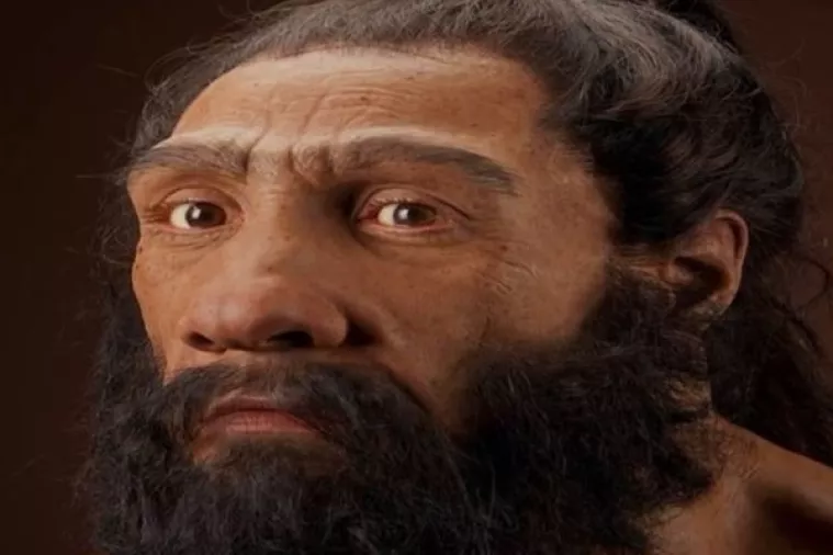 Istureni nos neandertalcima je omogućio da udi&scaron;u vi&scaron;e zraka