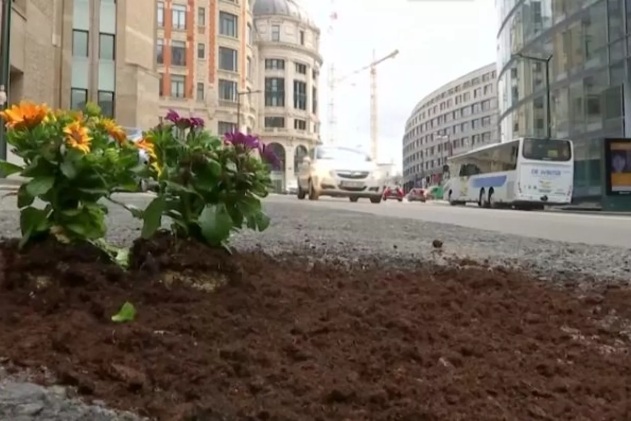 VIDEO: Cvjetni protest - Nizozemac rupe na cestama krpa cvijećem