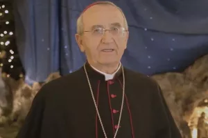 Mons. Želimir Puljić: Istanbulska konvencija jedno je u nizu zastranjenja
