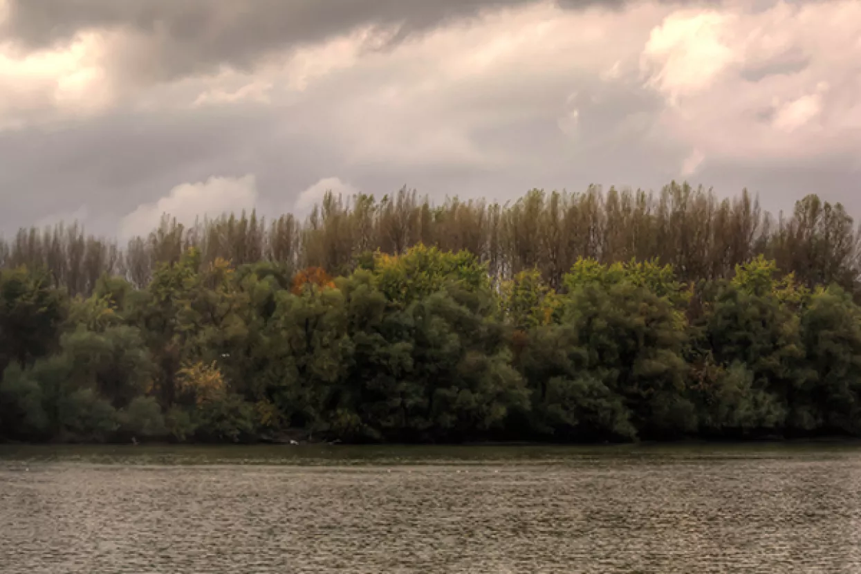 Hrvatske vode objavile da Sava nije oneči&scaron;ćena, prati se stanje