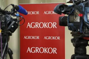Vrdoljak: HNS nije bio uključen u stabilizaciju Agrokora i izradu zakona