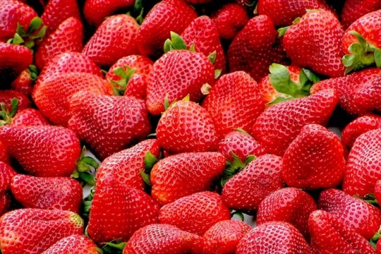 Živi zid podijelio jagode i prozvao HNB jer ne radi u korist građana
