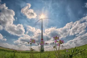 Rekordan porast globalnih kapaciteta za proizvodnju obnovljive energije