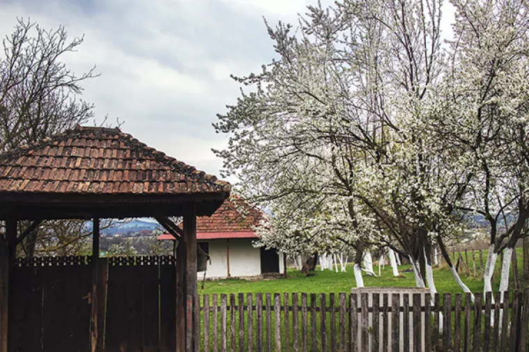 Natječaj: 278 milijuna kuna za razvoj nepoljoprivrednih djelatnosti u ruralnim područjima