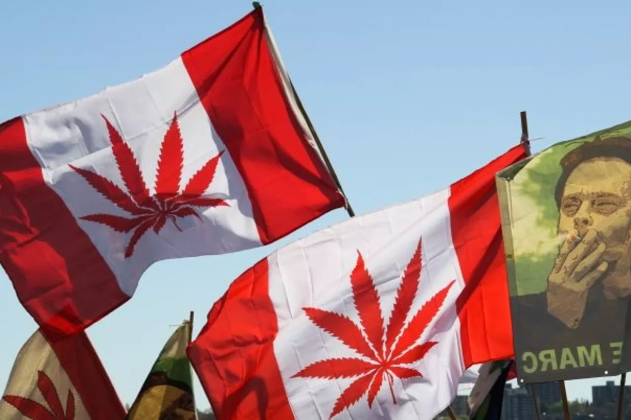 Dionice marihuane poskočile nakon legalizacije u Kanadi
