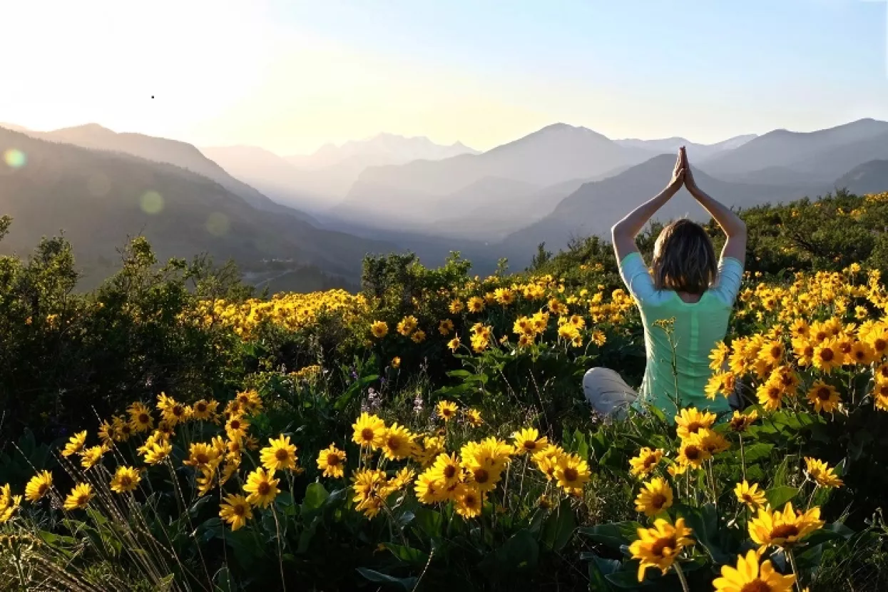 &Scaron;kole New Delhija uvode Dalaj lamin 'kurikulum sreće'