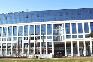 INA isplatila dividendu od 81,20 kuna po dionici
