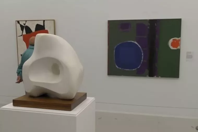 Galerija Tate St Ives progla&scaron;ena muzejom godine - dobila najveću muzejsku nagradu na svijetu