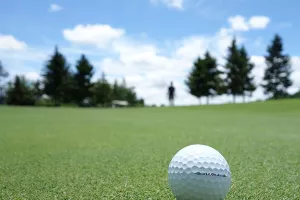 Golf tereni na Cresu sa dva igrali&scaron;ta, osamsto ležajeva i desaliniziranom vodom