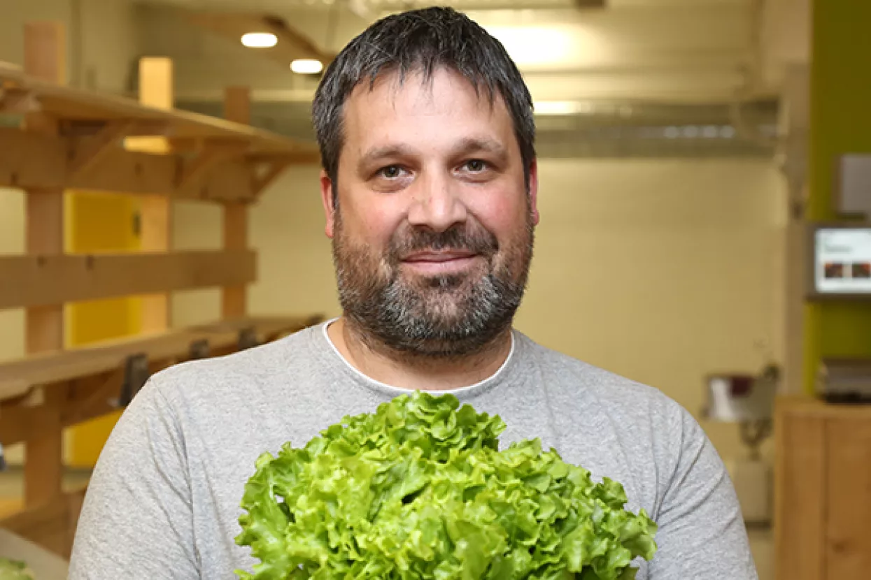 GoGreen Tržnice oti&scaron;le u stečaj