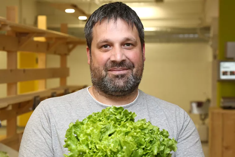 GoGreen Tržnice oti&scaron;le u stečaj
