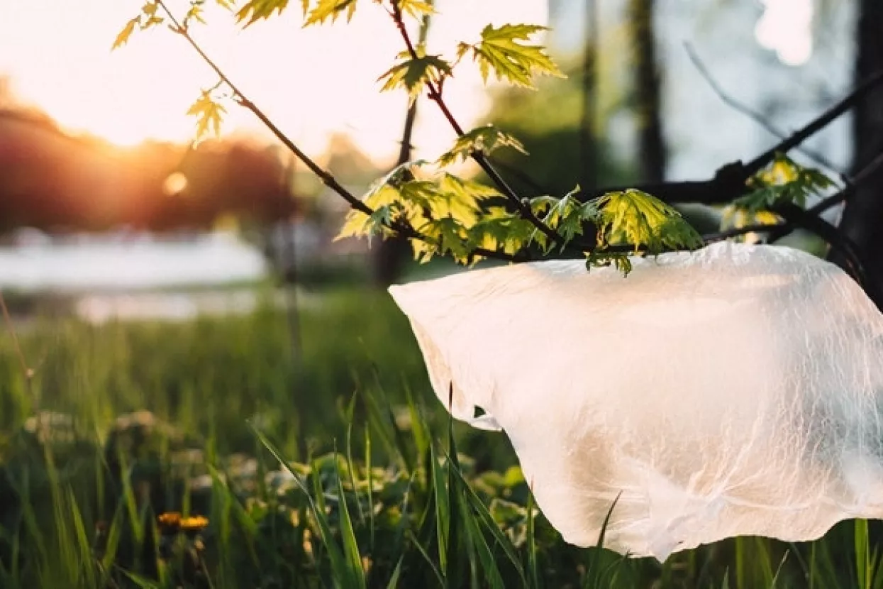 Novi Zeland zabranio plastične vrećice