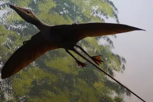 Otkrivena nova vrsta pterosaura, prvog kralje&scaron;njaka koji je mogao letjeti