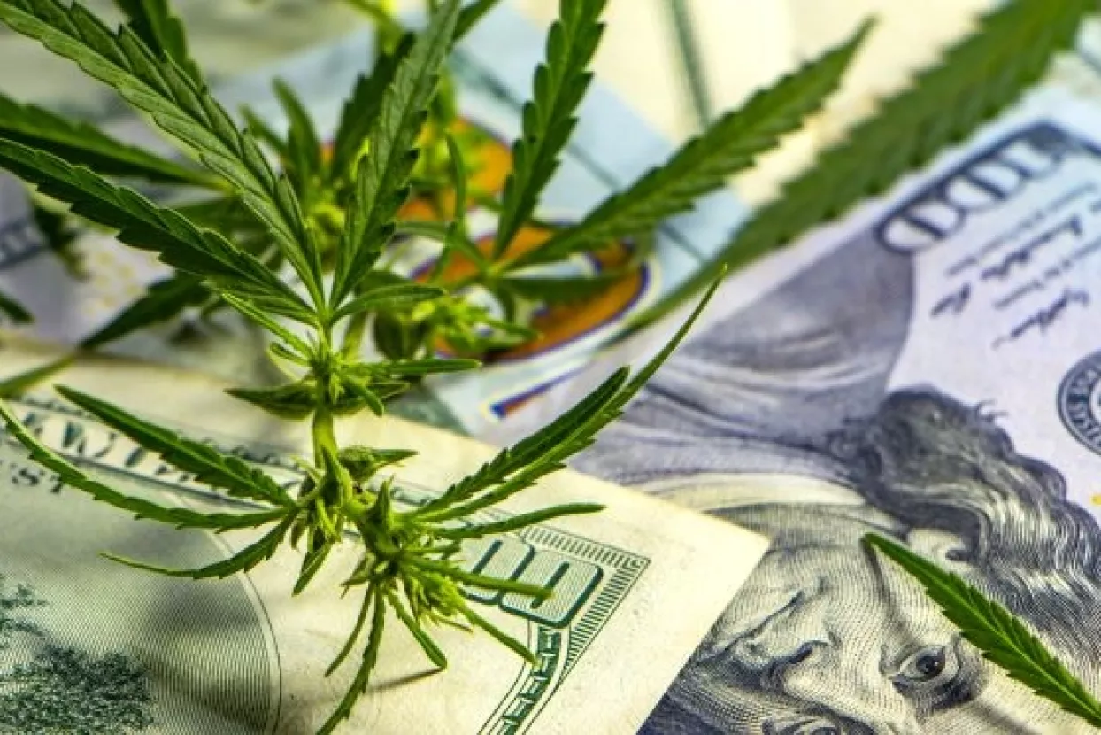 Najveća investicija u biznis s cannabisom &ndash; vlasnik piva Corona ulaže 4 milijarde dolara