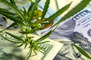 Najveća investicija u biznis s cannabisom &ndash; vlasnik piva Corona ulaže 4 milijarde dolara