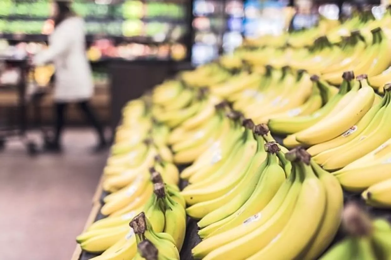Lidl lani u Hrvatsku direktno uvezao robe za 1,9 milijardi kuna, KTC za 6 milijuna