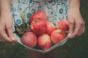 Opasnost od ru&scaron;enja cijena jabuka zbog velikog izvoza iz Poljske