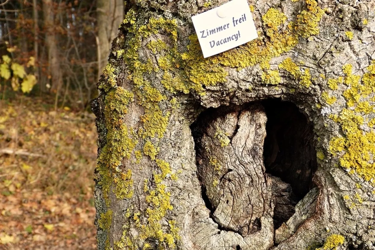 Magistrala - serija fotografija koja prati tužnu turističko-uslužnu hrvatsku zbilju