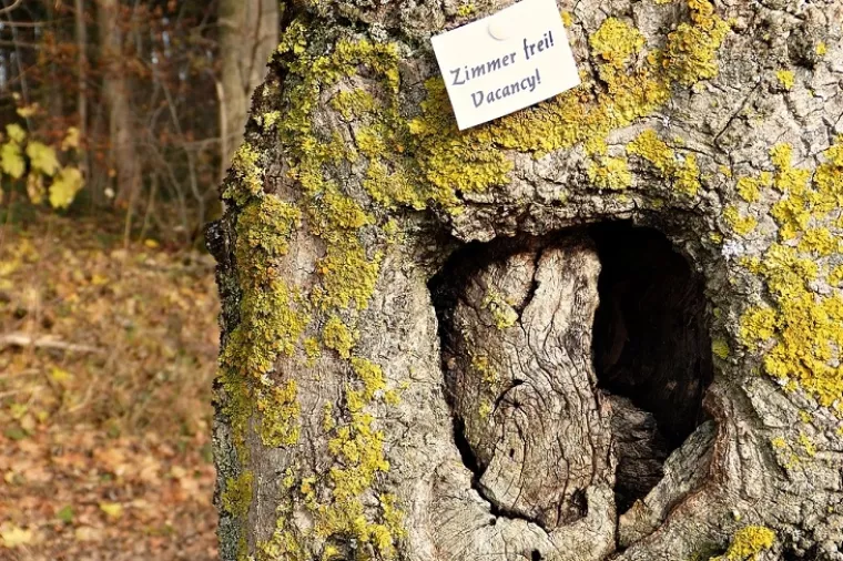 Magistrala - serija fotografija koja prati tužnu turističko-uslužnu hrvatsku zbilju
