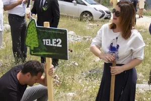 Počinje 'Boranka'- najveća volonterska akcija po&scaron;umljavanja opožarenih područja Dalmacije