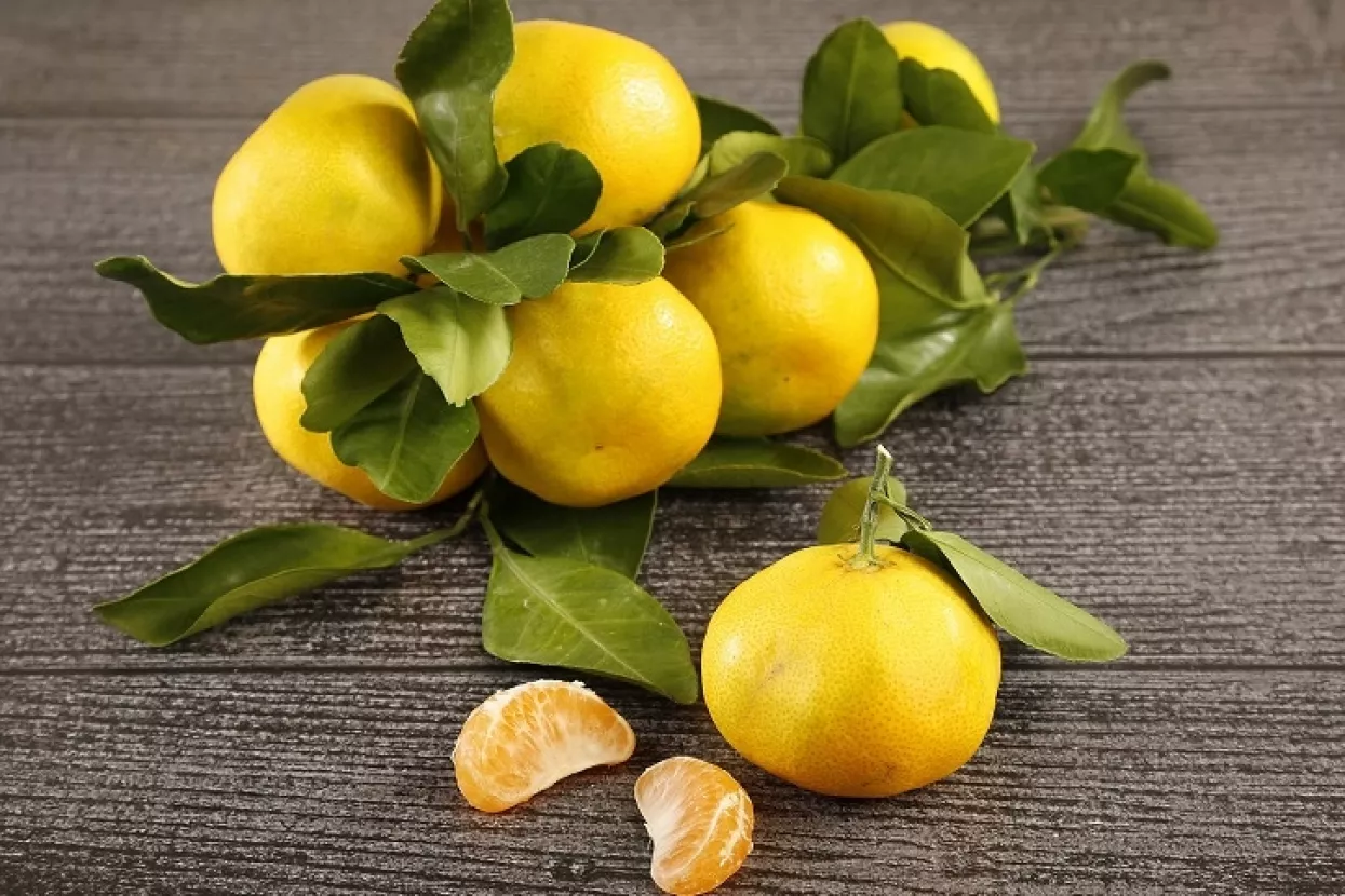 Sedam domaćih sorti mandarina iz doline Neretve u Sparu i Intersparu