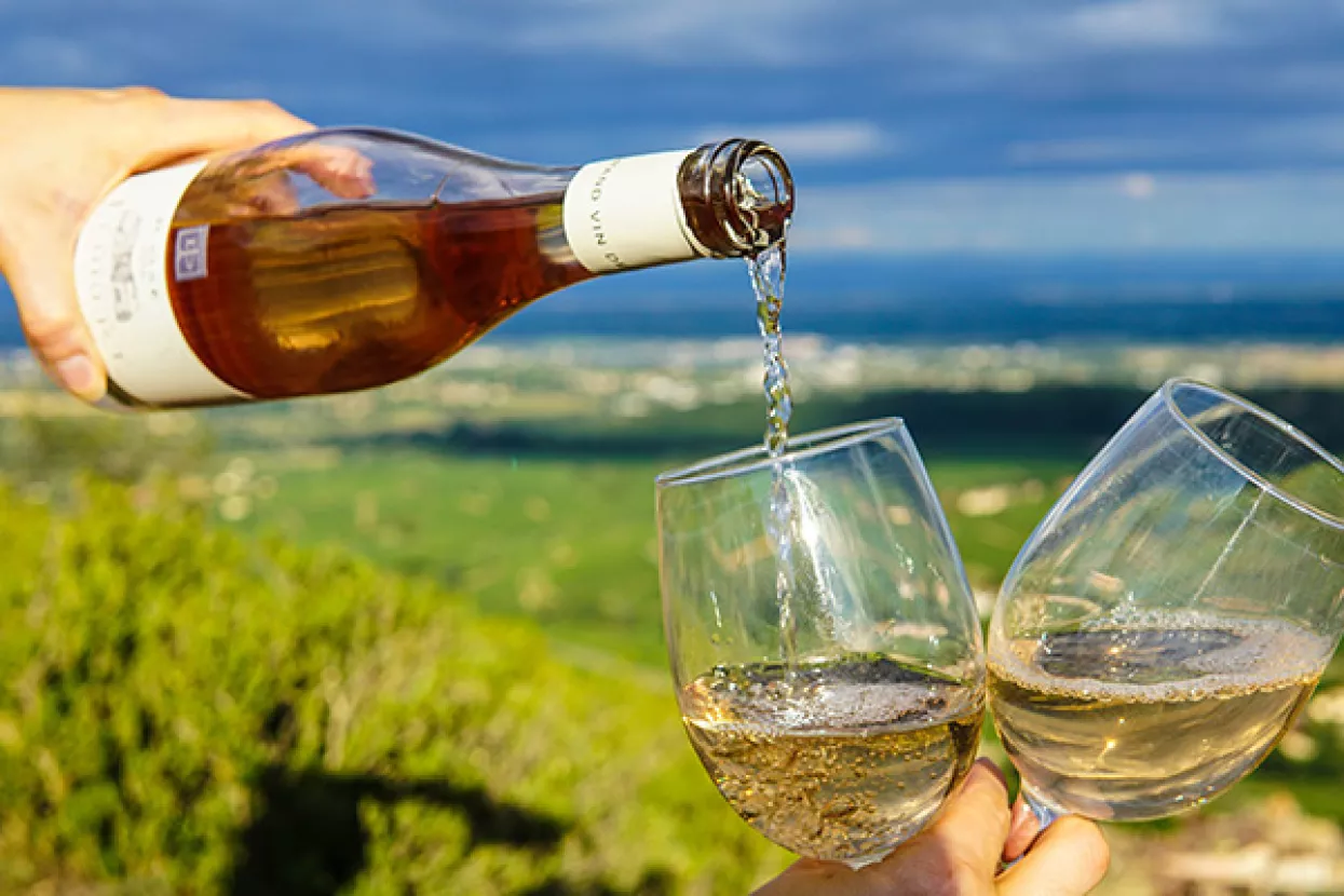 Dobra godina za vinare: Porasli prihodi i izvoz