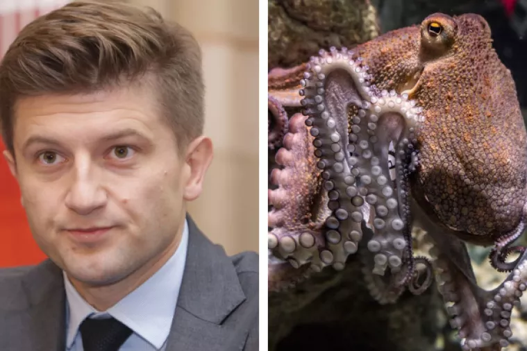 Petrov Mariću: Izgledate mi kao hobotnica
