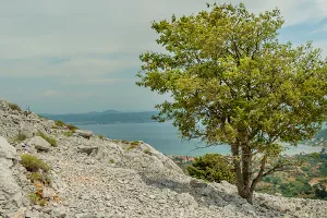 I bez osmog povjerenika: Sabor donio novi Zakon o otocima, uvodi se pojam otočnosti