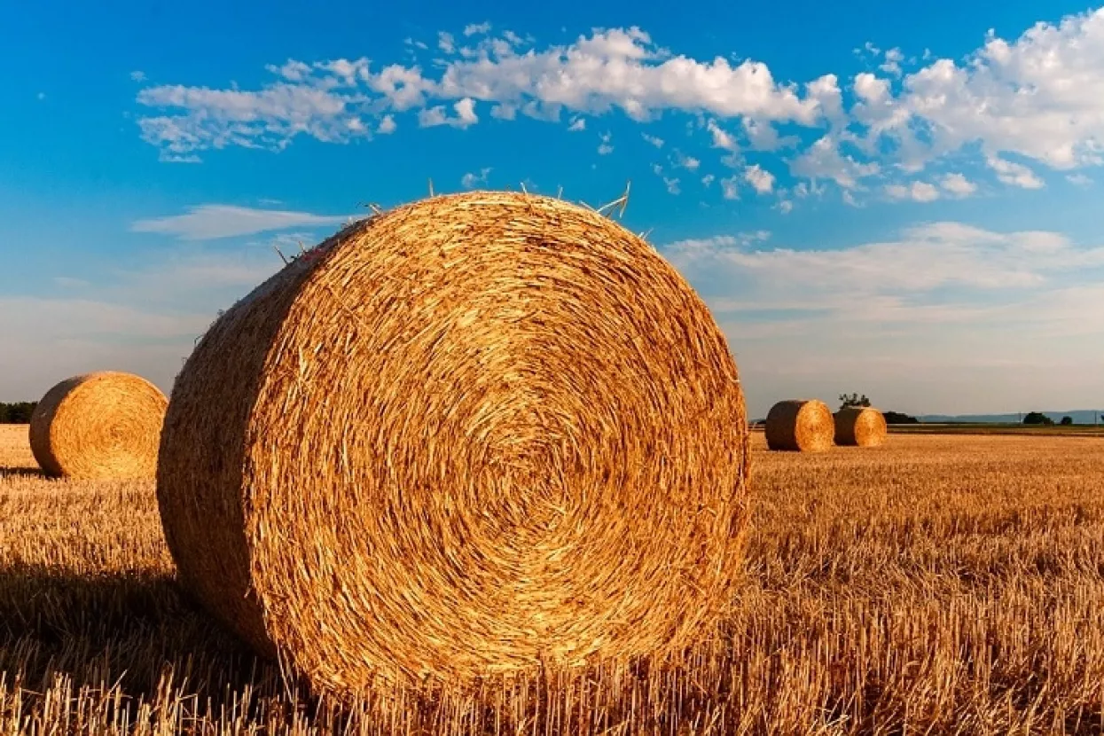 Agromuljatori: Kako sustavno žmirenje stvara prostor za muljanje u poljoprivredi