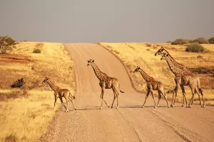 EUROKOLONIJALIZAM: Kako do milijardi Europske unije za ulaganja u Aziju, Afriku...