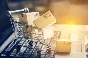Neboj&scaron;a Grbačić: Iako nude premium proizvode, mnogi webshopovi izgledaju jeftino