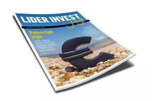 Lider invest jug - Dubinska gospodarska analiza 5 južnih županija