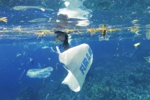 Godi&scaron;nje pojedemo 250 grama plastike, najvi&scaron;e kroz vodu, pivo i &scaron;koljke