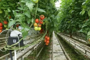 Zdrav život: Pogledajte 20 načina dobre zarade na najvećoj opsesiji na&scaron;eg doba