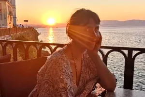 Vi&scaron;nja Stare&scaron;ina: E. Mađarević kao model nefunkcionalnog i nedržavnog sustava