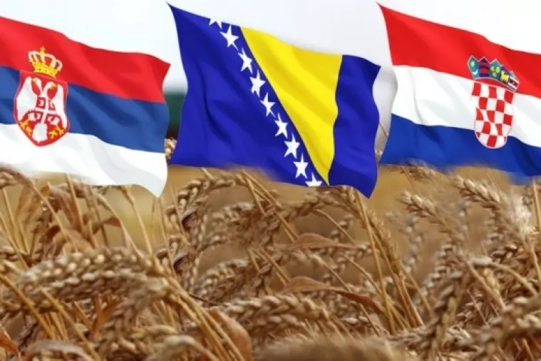 Vi&scaron;nja Stare&scaron;ina: Za&scaron;to je političko velikodržavlje u RH, Srbiji i BiH politička ironija