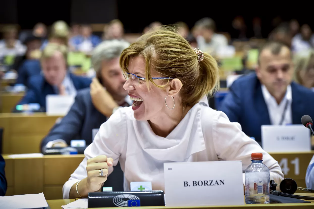 Biljana Borzan potpredsjednica europskih socijalista zadužena za ekonomiju