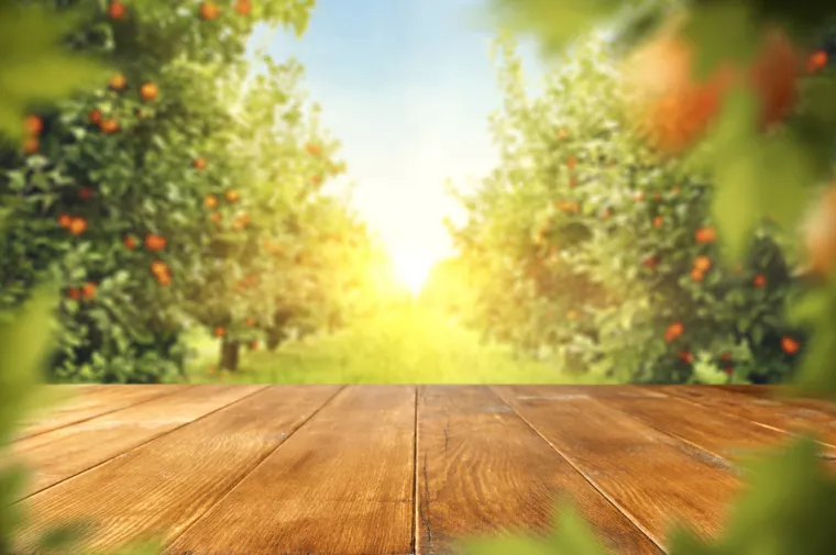 ENNA Fruit poziva hrvatske poljoprivrednike na suradnju