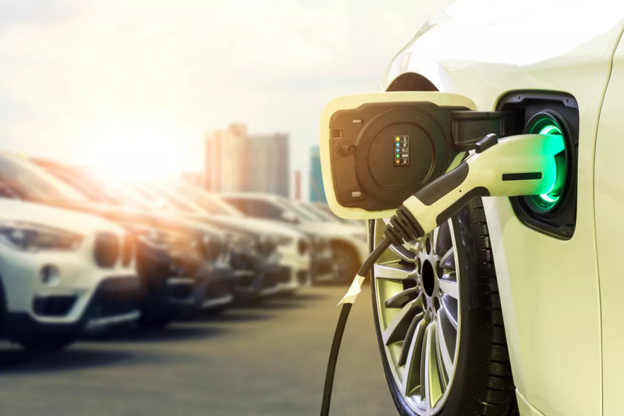 Infografika: Unatoč lo&scaron;oj godini prodaja električnih automobila raste