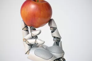 DRU&Scaron;TVENI ROBOTI Programirani su da s njima držimo i dijetu