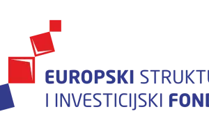 Tvrtka Tempo uspje&scaron;no provela EU projekt i pobolj&scaron;ala svoju informatičku infrastrukturu
