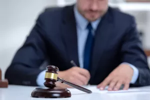 Vi&scaron;nja Stare&scaron;ina: Za&scaron;to Hrvati, za razliku od Nijemaca, ne vjeruju u svoj sustav? Zato &scaron;to ga nemaju