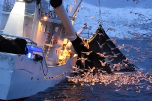 Hrvatska među top deset zemalja svijeta, a nije riječ o sportu