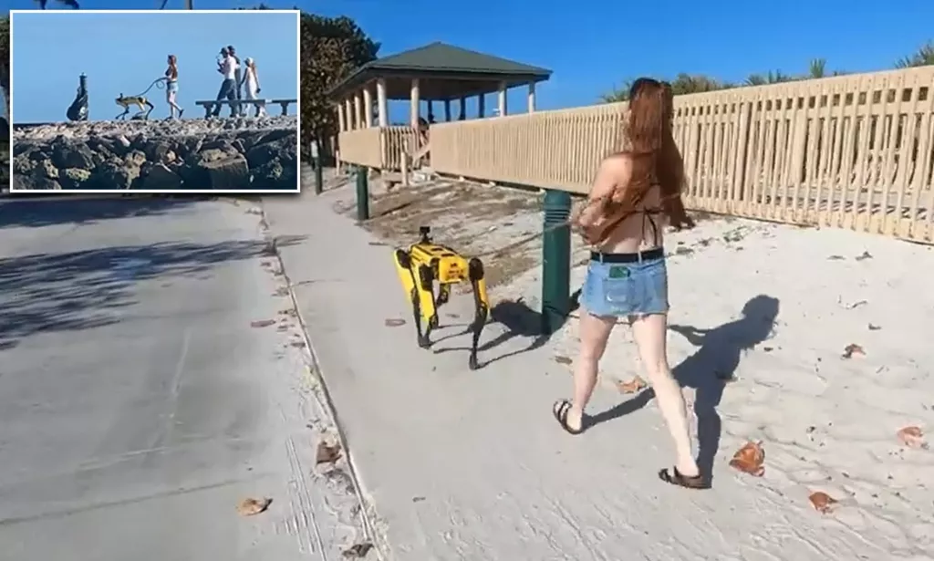 Robot vrijedan 75.000 američkih dolara koji su razvili u tvrtki Boston Dynamicsu i nazvali ga Točkica služi u bolnicama, istražuje na istražuju na mjestina zločina i sudjeluje u testiranje svemirskih raketa neviđenu popularnost stekao je nedavno kad ga je ulicama Floride pro&scaron;etala mlada Amerikanka, poput psa. Svoj model kućnog ljubimc nazvala je Scrappy