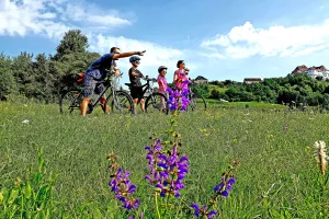 Pandemijski turizam - Lak&scaron;e je kad se radi 365 dana u godini