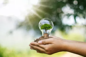 Svjetski dan OIE - Koja je uloga obnovljivih izvora energije u borbi protiv klimatskih promjena