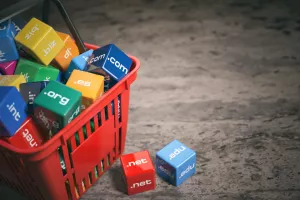 Ulaganje u domene: Ko&scaron;taju manje od nekretnina i tro&scaron;e manje živaca od kriptovaluta