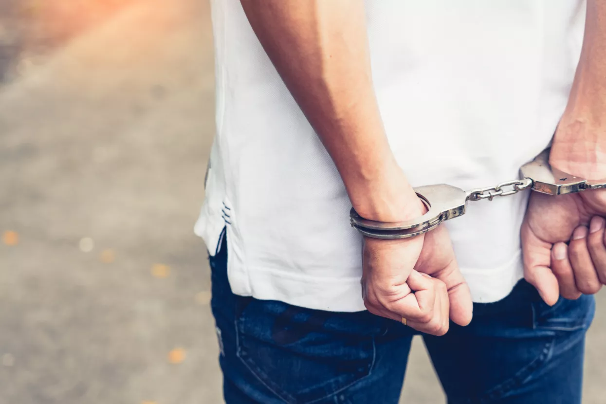 Edis Felić: Policija je s uhićenim vozačem mogla postupiti humanije