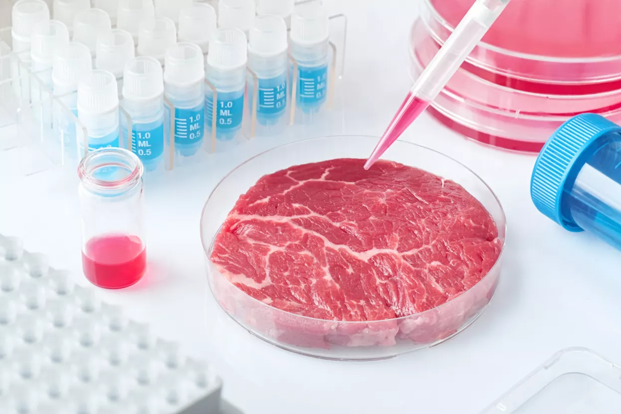 Postaje li laboratorijsko meso isplativa investicija? &ndash; u utrku ulazi i Nestle